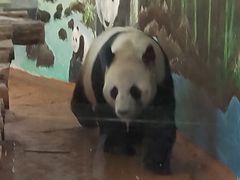 -南昌动物园