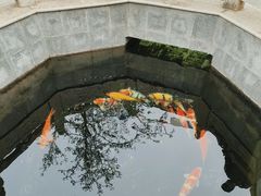-西安市广仁寺