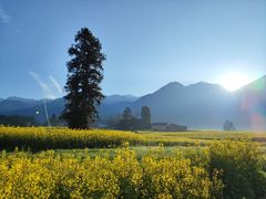 -三圣花乡旅游区