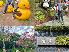 -云溪植物园