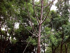 景点-北外滩滨江绿地