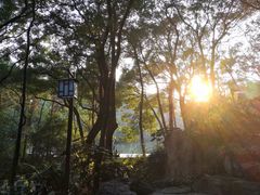 -忠山公园