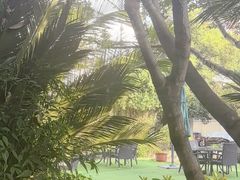 -大可堂普洱茶馆(襄阳南路馆)