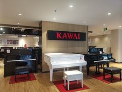 -柏斯音乐艺术中心·钢琴·吉他(上音店)