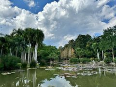 -中国科学院西双版纳热带植物园