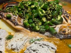 -探鱼·鲜青椒爽麻烤鱼(北京路天河城店)