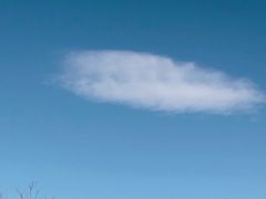 -锦尚阁烤鱼(望京新荟城店)