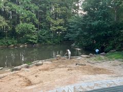 -苏州河梦清园环保主题公园