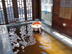 -裕龙汤泉