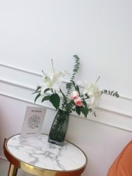 -YESIDO椰岛美容