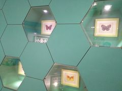 -上海昆虫博物馆