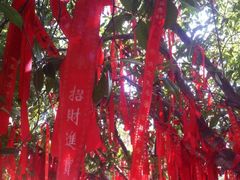 -金堂县云顶石城风景区