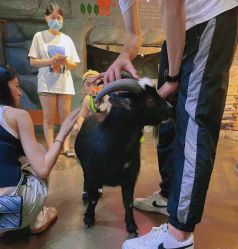 -Zoolung Zoolung动物主题公园(海信广场店)