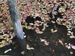 -三块石国家森林公园