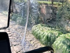 -法云安缦酒店