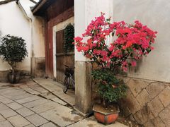 -三坊七巷历史文化街区