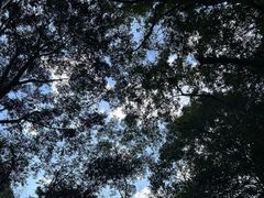 -青龙大瀑布