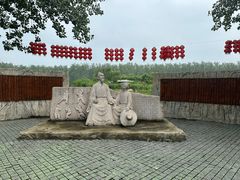 -合肥滨湖国家森林公园