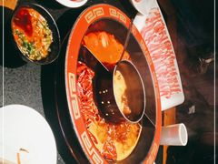 -宽巷子成都火锅(南站店)
