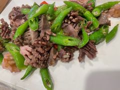 -丁老爷子苏香圆