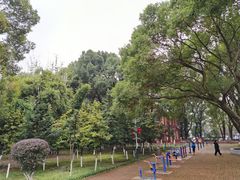 -马王堆汉墓遗址