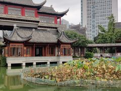 -龙潭水乡