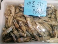 -佤家大院(南门店)