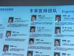 -北京观赏动物医院·24小时大型综合·猫专科·异宠专科