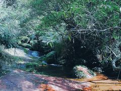 -赤水丹霞旅游区·佛光岩