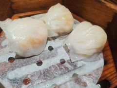 -皇室假期美食水疗会(春风路店)