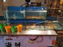 水产区-都喜天丽富都青枫苑酒店-青枫小筑