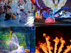 -海合安武汉极地海洋公园