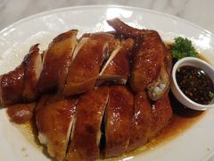 豉油鸡-翠華餐廳(浦东机场T1店)