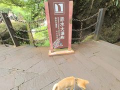 -赤水丹霞旅游区·大瀑布