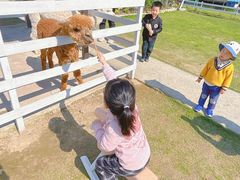 -宁波九龙湖开元度假村