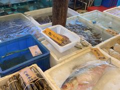 水产区-猪肉婆私房菜(容桂总店)