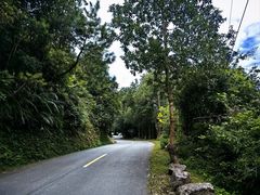 -广东天露山旅游度假区