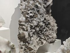 -重庆自然博物馆(新馆)