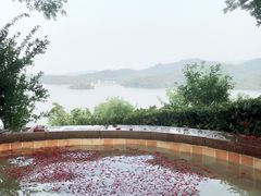 -天目湖涵田半山温泉