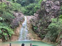 -南海湾森林生态园
