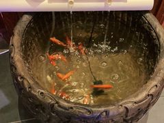 -东方饺子王(王府井关东古巷店)