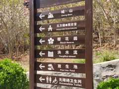 -金龙寺国家森林公园