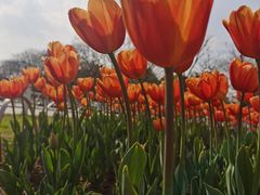 -玄武湖景区-情侣园游乐场