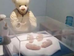 -成都泰迪熊博物馆