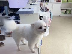 -萌兽医馆·宠物医院·猫骨科(创景店)