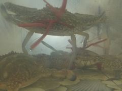 -巽寮印象美食部落餐厅·海鲜·地方特色菜(惠州体验店)