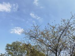 -南京市江宁方山