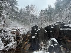 -四明山国家森林公园