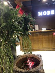 -木北造型