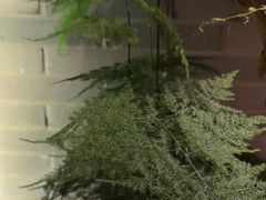 -足本纪·足道 SPA 简餐 小吃(文三西路店)